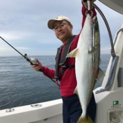 シーマジカル 釣果