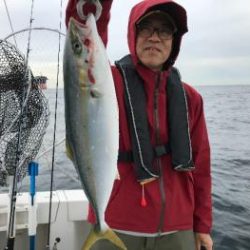 シーマジカル 釣果