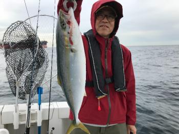 シーマジカル 釣果