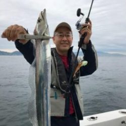 シーマジカル 釣果