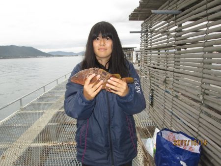 下関フィッシングパーク 釣果