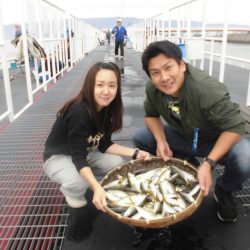 尼崎市立魚つり公園 釣果