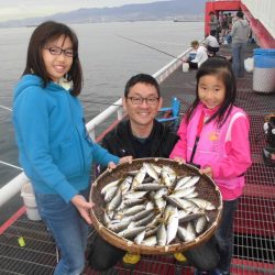 尼崎市立魚つり公園 釣果