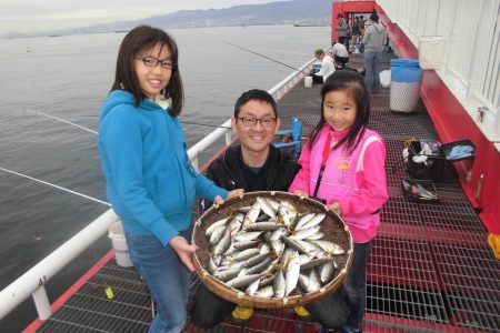 尼崎市立魚つり公園 釣果