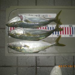 姫路市立遊魚センター 釣果