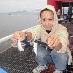 尼崎市立魚つり公園 釣果