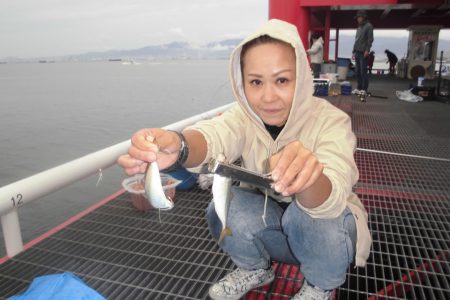 尼崎市立魚つり公園 釣果