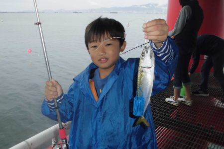 尼崎市立魚つり公園 釣果