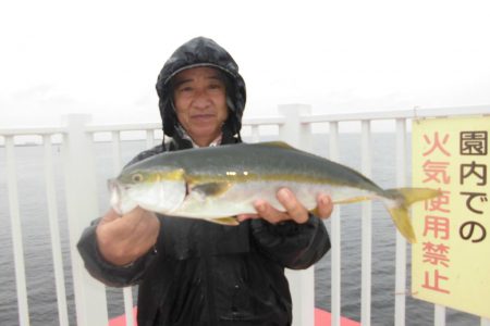尼崎市立魚つり公園 釣果
