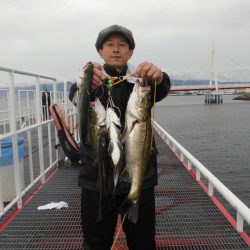 尼崎市立魚つり公園 釣果