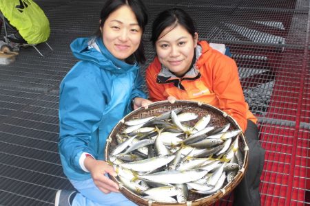 尼崎市立魚つり公園 釣果