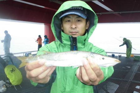 尼崎市立魚つり公園 釣果