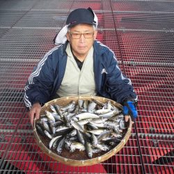 尼崎市立魚つり公園 釣果