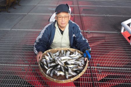 尼崎市立魚つり公園 釣果