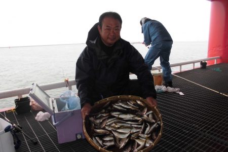 尼崎市立魚つり公園 釣果