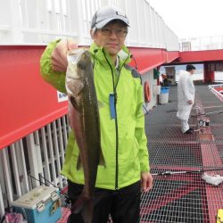 尼崎市立魚つり公園 釣果