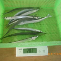 姫路市立遊魚センター 釣果