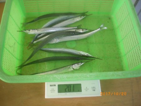 姫路市立遊魚センター 釣果