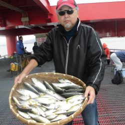 尼崎市立魚つり公園 釣果
