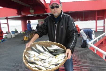 尼崎市立魚つり公園 釣果