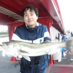 尼崎市立魚つり公園 釣果