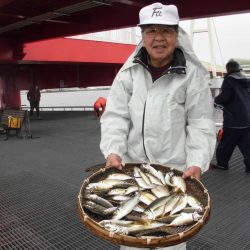 尼崎市立魚つり公園 釣果