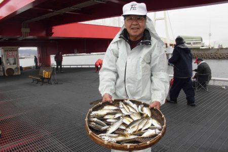 尼崎市立魚つり公園 釣果