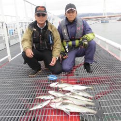 尼崎市立魚つり公園 釣果