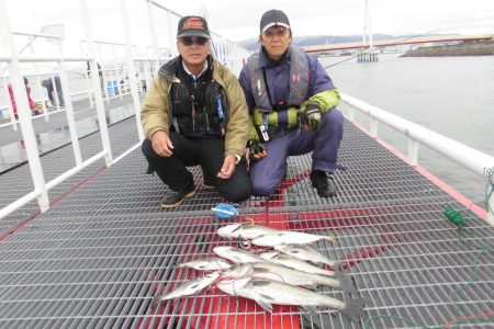 尼崎市立魚つり公園 釣果