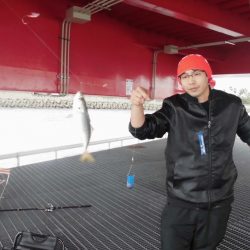 尼崎市立魚つり公園 釣果