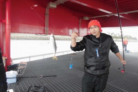 尼崎市立魚つり公園 釣果