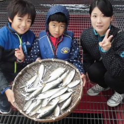 尼崎市立魚つり公園 釣果