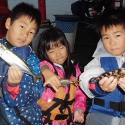 尼崎市立魚つり公園 釣果