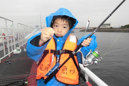 尼崎市立魚つり公園 釣果