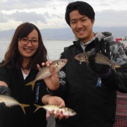 尼崎市立魚つり公園 釣果