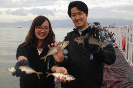 尼崎市立魚つり公園 釣果