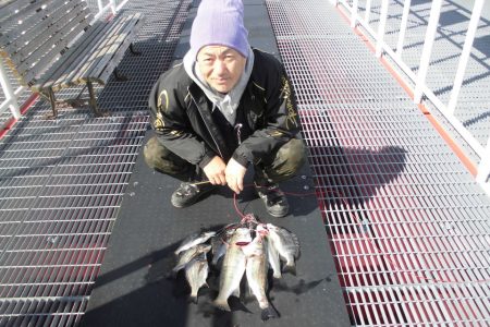 尼崎市立魚つり公園 釣果