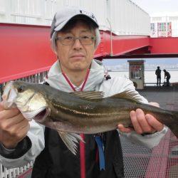 尼崎市立魚つり公園 釣果
