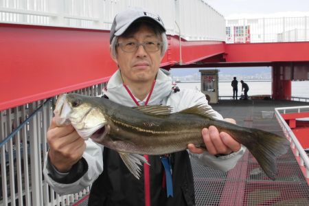 尼崎市立魚つり公園 釣果