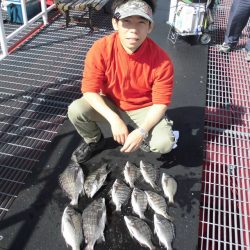 尼崎市立魚つり公園 釣果