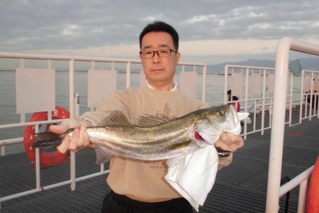 尼崎市立魚つり公園 釣果