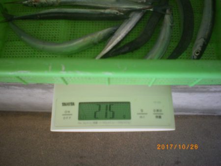 姫路市立遊魚センター 釣果