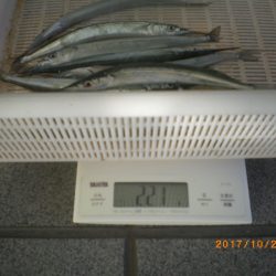 姫路市立遊魚センター 釣果