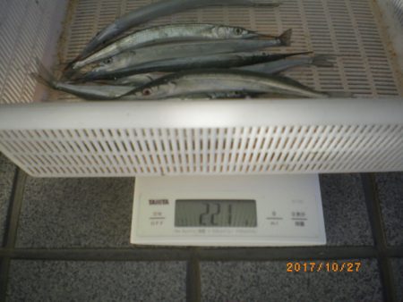 姫路市立遊魚センター 釣果
