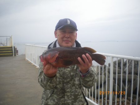 姫路市立遊魚センター 釣果