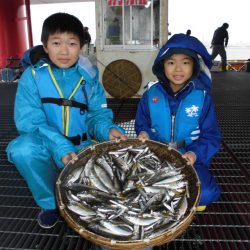 尼崎市立魚つり公園 釣果