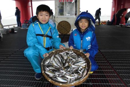 尼崎市立魚つり公園 釣果