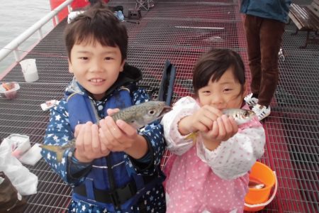 尼崎市立魚つり公園 釣果