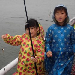 尼崎市立魚つり公園 釣果