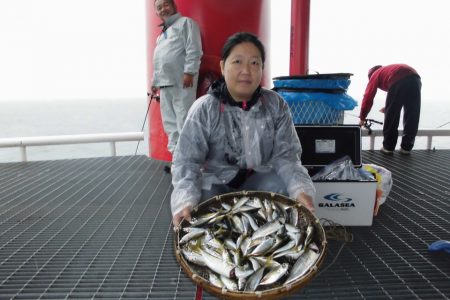 尼崎市立魚つり公園 釣果